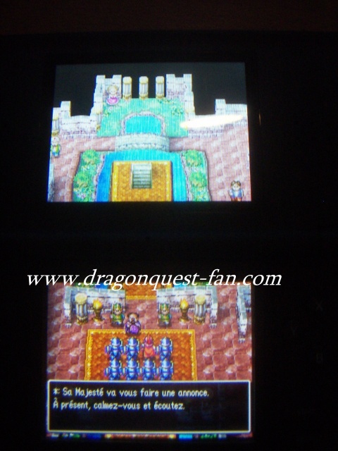 http://www.dragonquest-fan.com//imgs/dragonquestds/fr271107/1.jpg