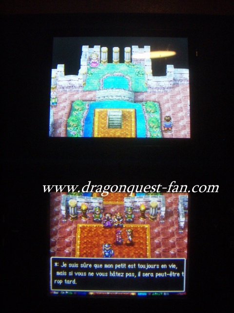 http://www.dragonquest-fan.com//imgs/dragonquestds/fr271107/3.jpg