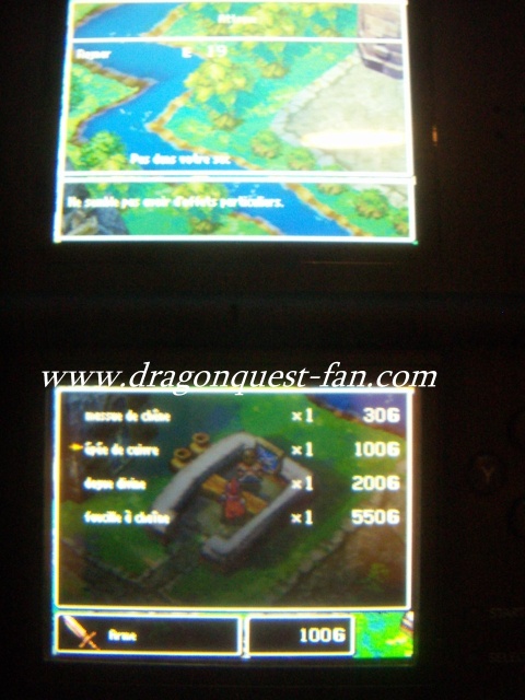 http://www.dragonquest-fan.com//imgs/dragonquestds/fr271107/6.jpg