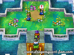 Dragon Quest IV Solution 2 14