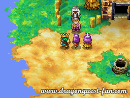 Dragon Quest IV Solution 5 8