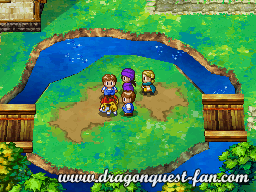 Dragon Quest V Solution 2 1