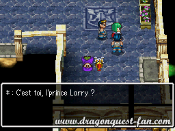 Dragon Quest V Solution 4 1