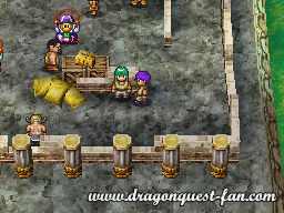 Dragon Quest V Solution 4 1