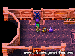 Dragon Quest V Solution 6 6