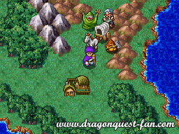 Dragon Quest V Solution 7 3