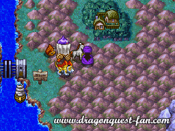 Dragon Quest V Solution 8 5