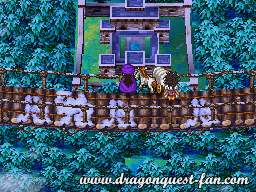 Dragon Quest V Solution 9 4