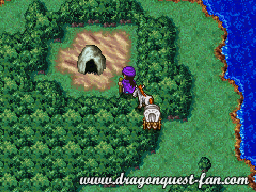 Dragon Quest V Solution 9 8