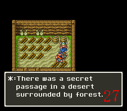 Dragon Quest VI Solution