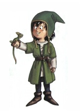 Heros Dragon Quest VII