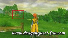 Dragon Quest Solution Ermite Image 1