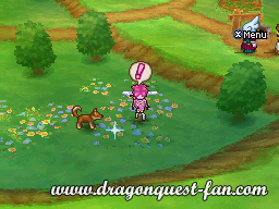 Dragon Quest III Solution 1