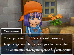 Dragon Quest III Solution 1