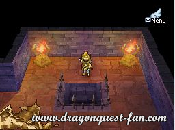 Dragon Quest IX Solution 10