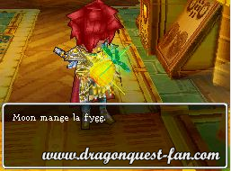 Dragon Quest IX Solution 10