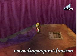 Dragon Quest IX Solution 11