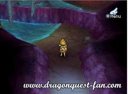 Dragon Quest IX Solution 11