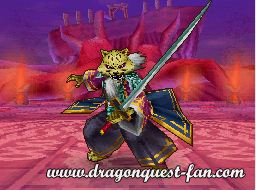 Dragon Quest IX Solution 11