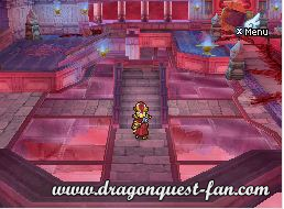 Dragon Quest IX Solution 11