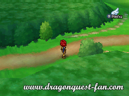 Dragon Quest IX Solution 2