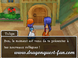 Dragon Quest IX Solution 2