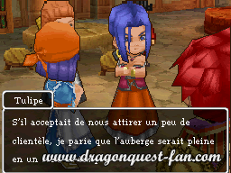 Dragon Quest IX Solution 2