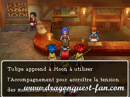 Dragon Quest IX Solution 2