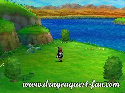 Dragon Quest IX Solution 2