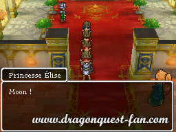 Dragon Quest IX Solution 2