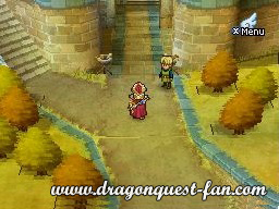 Dragon Quest IX Solution 3