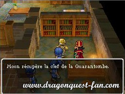 Dragon Quest IX Solution 3