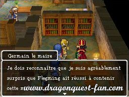 Dragon Quest IX Solution 3