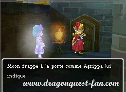 Dragon Quest IX Solution 3