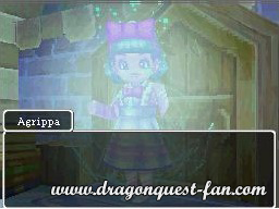 Dragon Quest IX Solution 3