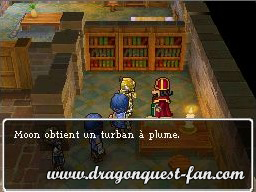 Dragon Quest IX Solution 3