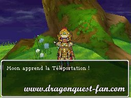 dragon quest 9 comment avoir le train