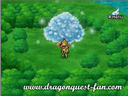 Dragon Quest IX Solution 4