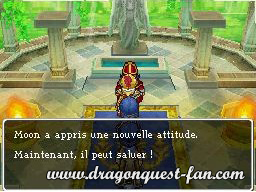 Dragon Quest IX Solution 4