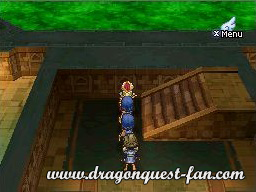 Dragon Quest IX Solution 4