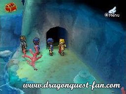 Dragon Quest IX Solution 4