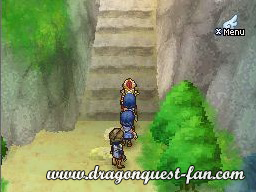 Dragon Quest IX Solution 4