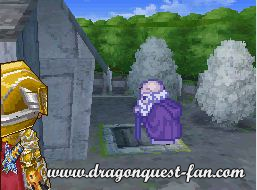 Dragon Quest IX Solution 5