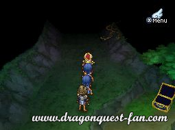 Dragon Quest IX Solution 5