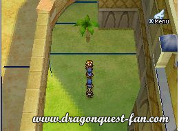 Dragon Quest IX Solution 6