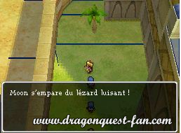 Dragon Quest IX Solution 6