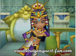 Dragon Quest IX Solution 6