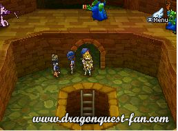 Dragon Quest IX Solution 6