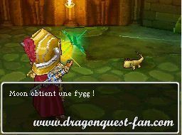 Dragon Quest IX Solution 6