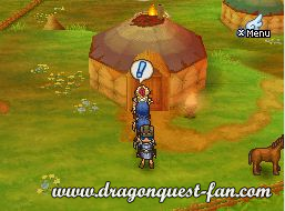 Dragon Quest IX Solution 6